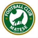 FC Matese logo