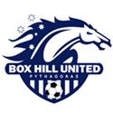 Nữ Box Hill logo