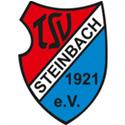 TSV Steinbach Haiger logo