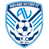 Adelaide Victory Reserves logo