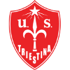 Triestina U19 logo