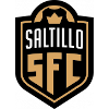 Saltillo Soccer logo